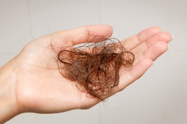 Tóc gãy rụng nhiều hơn 100 sợi/ngày