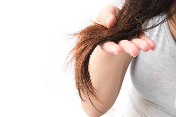 Tóc khô xơ là do thiếu chất dinh dưỡng, độ ẩm trong tóc